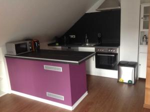 Kuchyň nebo kuchyňský kout v ubytování Ferienwohnung Studiowohnung, offener Wohn- und Schlafber
