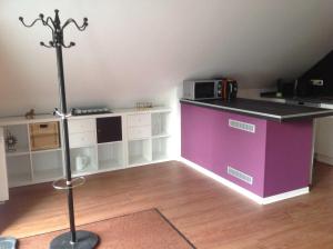 Kuchyň nebo kuchyňský kout v ubytování Ferienwohnung Studiowohnung, offener Wohn- und Schlafber