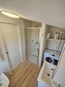 uma pequena casa de banho com um chuveiro e um lavatório. em Da.Ma. House em Anzio