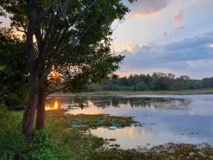 Příroda nedaleko penzionu + 18 fotografií