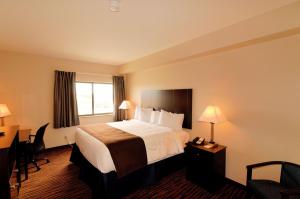 Postel nebo postele na pokoji v ubytování Cobblestone Inn & Suites - Denison | Oak Ridge