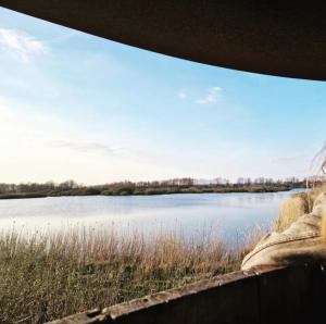 a view of a lake from a fence at Tiny house Giethoorn in Giethoorn