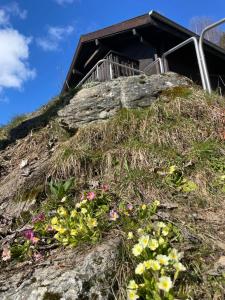 Bangunan di mana terletaknya chalet