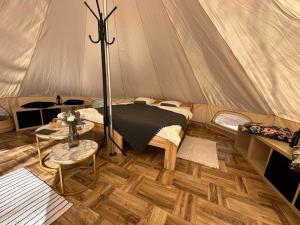 Habitación con tienda de campaña, cama y mesa. en Brzozowisko Tuchomko - Glamping, en Tuchomie