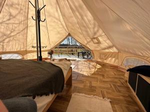 une tente dans une chambre dotée de parquet dans l'établissement Brzozowisko Tuchomko - Glamping, à Tuchomie