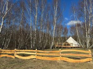 TuchomieBrzozowisko Tuchomko - Glamping的相册照片