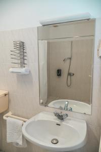 a bathroom with a sink and a shower and a mirror at HOTEL DU MOULIN in Voué