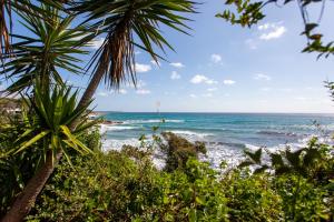 a view of the ocean from a beach with palm trees at casa sulla spiaggia 2 in Orosei +17 photos