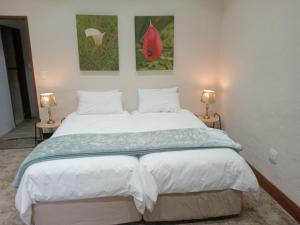een slaapkamer met een groot bed met 2 lampen bij Drakenzicht Mountain Cottage in Winterton