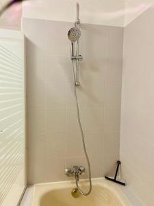 Koupelna v ubytování Appartement