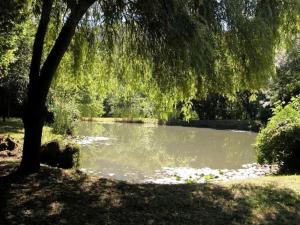 Fotografia z galérie ubytovania LE MOULIN DE LA FREGETTE v destinácii Loupiac