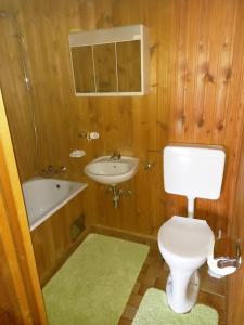 a bathroom with a toilet and a sink at Apartment Weintraube in Rohr im Gebirge