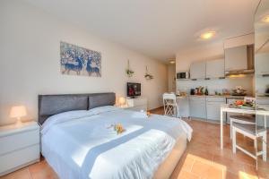A kitchen or kitchenette at Apartments Gelsomino, Orchidea and Magnolia