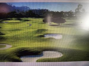 a painting of a golf course with a hole at Suite Latina - San Leonardo in Treviso