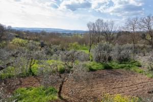 an aerial view of a field with trees and bushes at Casa Belvedere in Foiano della Chiana