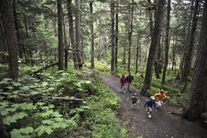 a group of people walking on a trail in the woods at Alyeska Resort in Girdwood