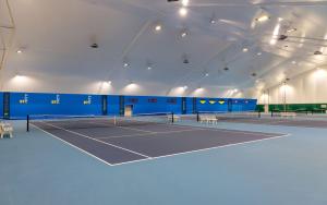 a tennis court with two tennis courts at Holiday house VilAna in Puconci