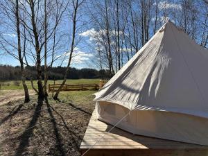 TuchomieBrzozowisko Tuchomko - Glamping的相册照片