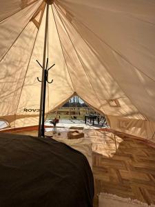 TuchomieBrzozowisko Tuchomko - Glamping的相册照片