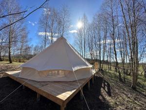 TuchomieBrzozowisko Tuchomko - Glamping的相册照片