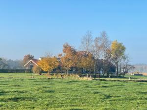 Gallery image of Vakantiehuis Noflik Nijemirdum in Nijemirdum +36 photos