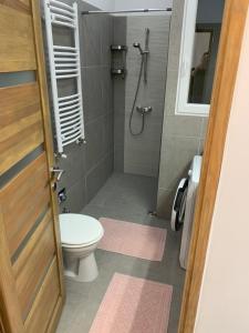 ein Bad mit einem WC und einer Dusche in der Unterkunft BEAUTY APARTMAN CORVIN in Budapest