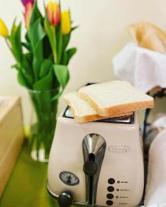 a toaster with two slices of bread on top at Boutique Hotel Golf Garni in Mikulov