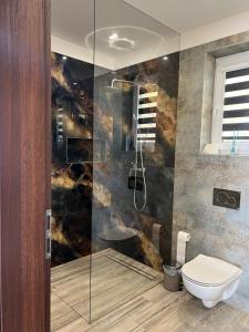 a bathroom with a toilet and a glass shower at Domek nad Doliną Dunajca in Zakliczyn