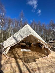 TuchomieBrzozowisko Tuchomko - Glamping的相册照片