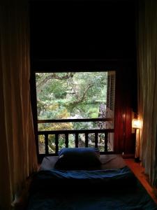 Φωτογραφία από το άλμπουμ του Mận Homestay - Lục Yên Homestay and Tour σε Lục Yên