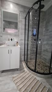 a bathroom with a shower with a sink and a toilet at Country Cabin in Midrand