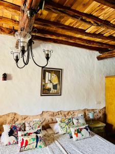 een slaapkamer met een bed met kussens en een kroonluchter bij Can Pep Pardal in Sant Miquel de Balansat