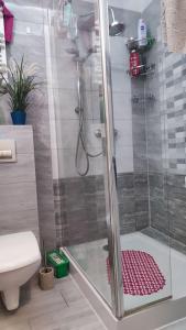 eine Dusche mit Glastür im Bad in der Unterkunft Mieszkanie przy zielonej bramie in Danzig