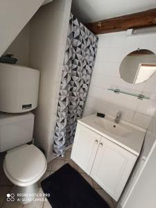 a small bathroom with a toilet and a sink at PETIT NID COSY - Proche des ecoles et entreprises in Orsay