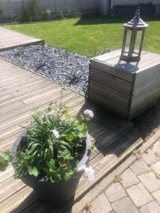 Vonkajšia záhrada v ubytovaní CHEZ ROMY, MAISON AVEC PARKING ET JARDIN