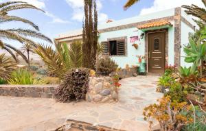 a house with a palm tree in front of it at Casa GRENADO in Vallehermoso