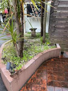 un giardino con alberi e piante su un marciapiede di ホテルDEN a Tokyo