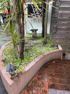 a garden with trees and plants on a sidewalk at ホテルDEN in Tokyo