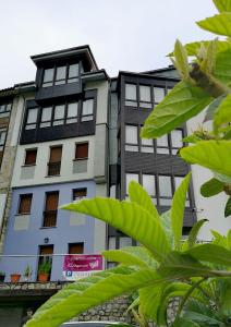 un grand bâtiment blanc avec des fenêtres et des feuilles vertes dans l'établissement Apartamentos Camparina, à Llanes