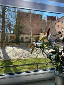 Zahrada ubytování Újhely vára Apartman