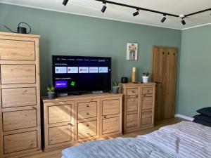 TV a/nebo společenská místnost v ubytování Újhely vára Apartman