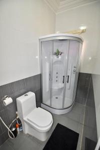 a bathroom with a white toilet and a shower at Rosa Parks Villa - Sanyang The Gambia in How Ba