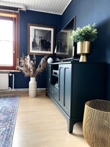 uma sala de estar com paredes azuis e um armário preto em "Ohuus" Ferienhaus mit Garten em Büsum