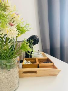 Fotografie z fotogalerie ubytování Hostal Alisol Boutique San Pedro v destinaci Marbella
