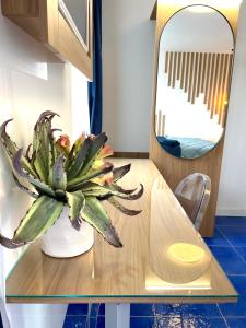 a potted plant sitting on a table in front of a mirror at Residenza AquaLaguna in Tropea