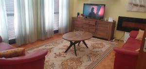 TV a/nebo společenská místnost v ubytování Captain Ante's House