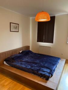Kép THE PRAVETS PENTHOUSE szállásáról Pravecben a galériában