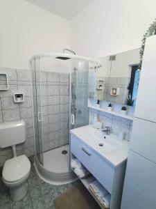 Piko's apartments في إيزولا: حمام مع دش ومرحاض ومغسلة