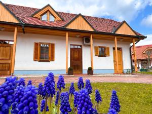 una casa con flores púrpuras delante de ella en Miadora apartments - Apartma Prekmurska hiška, en Moravske Toplice