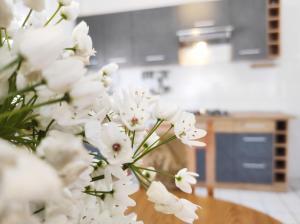 Una cocina o kitchenette en Apartment Ivy